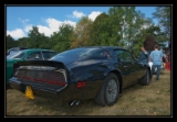 Pontiac trans Am Turbo - 2